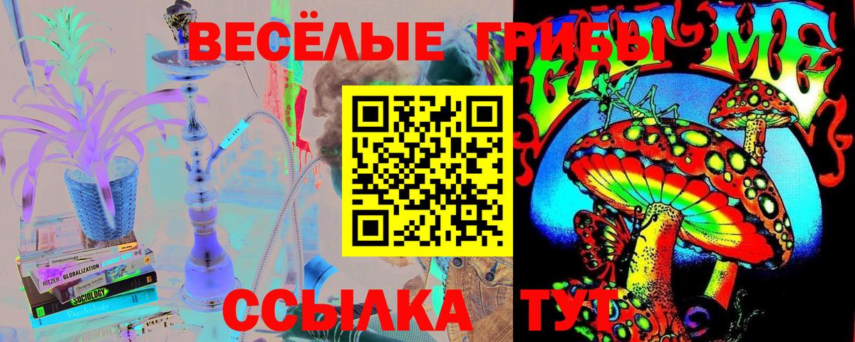 Псилоцибиновые грибы Cubensis Углич