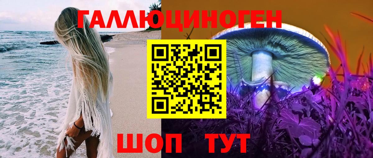 где купить наркоту  Псилоцибиновые грибы Magic Shrooms  Вход с VPN  Углич  Галлюциногенные грибы Magic Shrooms 